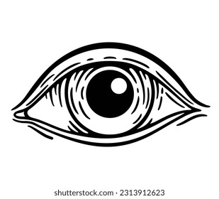 Vector illustration of human eye in engraved style. Eye of Providence. Masonic symbol. Vector illustration isolated on white. 