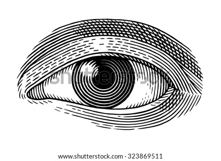 Vector illustration of human eye in engraved style