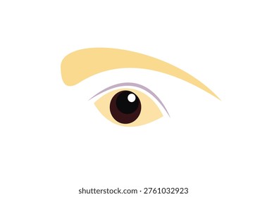 Vector illustration of a human eye with eyebrow