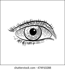 Vector illustration of a human eye in graphic style