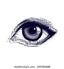 Vector illustration of human eye in vintage engraved style