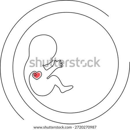 Vector illustration of a human fetus in the womb drawn in one continuous line. A small red heart symbolizes life and love. Minimalist concept of anti-abortion, sanctity of unborn life, pregnancy, and maternity.