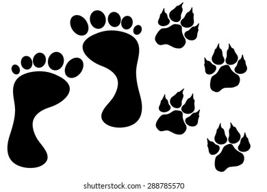 Vector illustration of a human foot with dog foot on a white background.