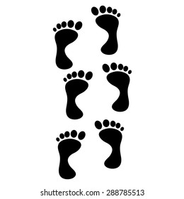 Vector illustration of a human foot on a white background.