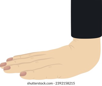 Vector illustration of human hand.