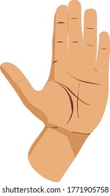 vector illustration of a human hand meaning stop