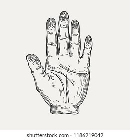Vector illustration of human hand. Palmistry, mysticism, chiromancy, witchcraft. Graphic sketch for posters, tattoo, clothes, t-shirt design, pins, patches, badges, stickers.