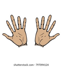 Vector illustration of a human hand. Wrist. Human palm.