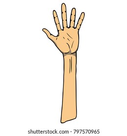 Vector illustration of a human hand. Wrist. Human palm. Hand drawn.