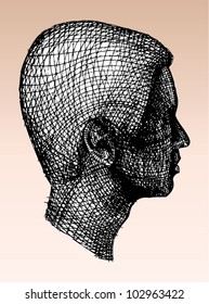 A vector illustration of human head.