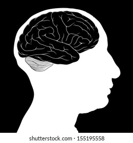 Vector illustration of a human head.