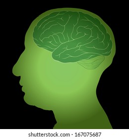 Vector illustration of human head.