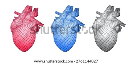Vector illustration of human heart 3d wireframe isolated on white background and related to anatomy, medicine, cardiology and biology