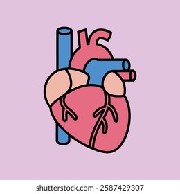 Vector Illustration of a Human Heart Anatomy