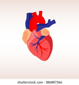 Vector illustration human heart anatomy icon, symbol. Diagnostic center