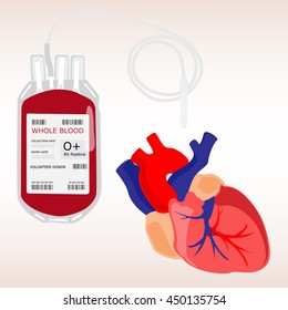 Vector illustration human heart anatomy icon, symbol. Diagnostic center. Blood bag with label O negative blood isolated on white. Donate blood concept. Realistic blood bag