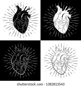 Vector illustration with human heart and divergent rays. Used for poster, banner, web, t-shirt print, bag print, badges, flyer, logo design and more. 