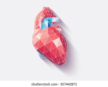 Vector illustration of human heart with faceted low-poly geometry effect