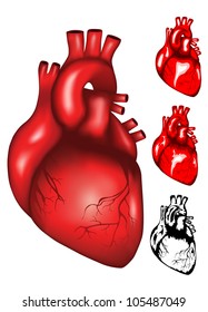 Vector illustration of human heart mesh, colour and black & white