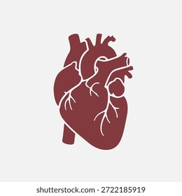 Ilustración vectorial de un corazón humano que simboliza la salud, la cardiología y la ciencia médica