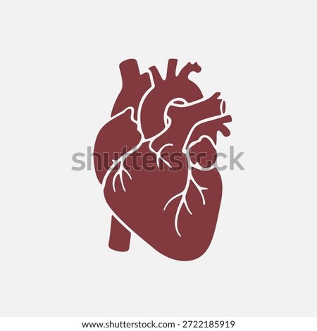 Vector illustration of a human heart symbolizing health, cardiology, and medical science