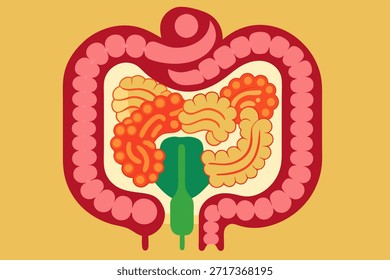Ilustración vectorial de los intestinos humanos en un diseño limpio. Perfecto para proyectos médicos, educativos y de atención médica.