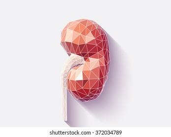 Vector illustration of human kidney with faceted low-poly geometry effect