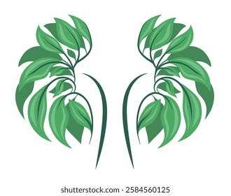 Vector illustration of human kidneys. Healthy and eco-friendly lifestyle. Anatomical organs made of foliage. Illustration for medical articles and banners