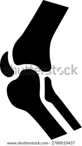 Vector illustration of a human knee joint and bone structure. Ideal for medical, orthopedic, healthcare and anatomy related designs.