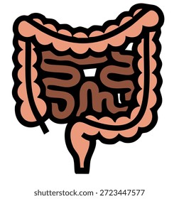 Ilustración vectorial del intestino Grande humano para el diseño de la salud médica y educativa