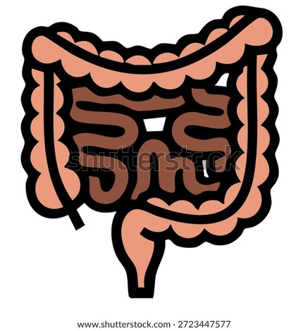 vector illustration of human large intestine for medical and educational health design