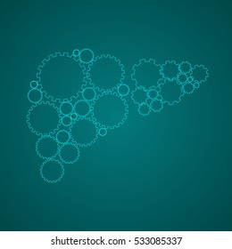 Vector illustration of human liver.