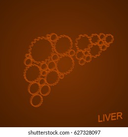 Vector illustration of human liver.