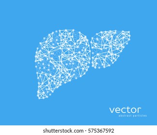 Vector illustration of human liver with cirrhosis.