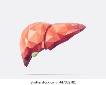 Ilustración vectorial del hígado humano con efecto de geometría faceteada de bajo poste