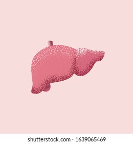 Vector illustration of the human liver isolated on pink background. Medical illustration for blog or social network post or banner.