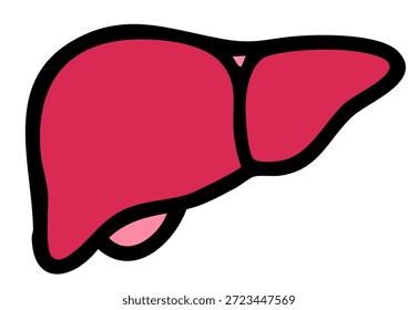 Vektorgrafik menschlicher Leberorgane für medizinisches und pädagogisches Gesundheitsdesign