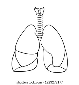 Vector Illustration Of Human Lungs Outline  Design