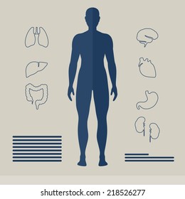 Vector Illustration of Human Organs