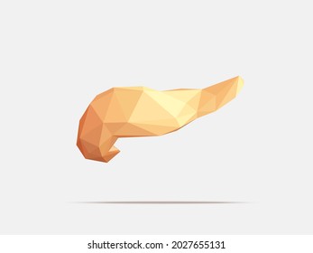 Vector illustration of human pancreas with faceted low-poly geometry effect. Stylized anatomy of internal human organ pancreas