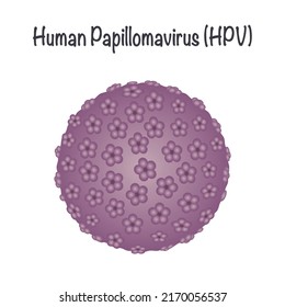 Vector illustration of the Human Papillomavirus known as HPV