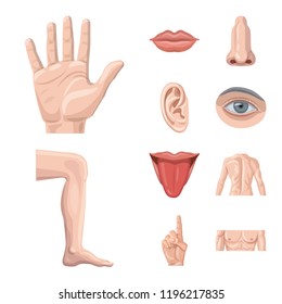 Vector illustration of human and part icon. Set of human and woman vector icon for stock.