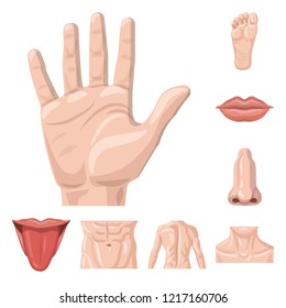 Vector illustration of human and part icon. Collection of human and woman stock vector illustration.