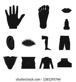 Vector illustration of human and part icon. Collection of human and woman stock vector illustration.