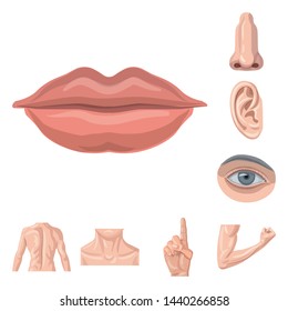 Vektorgrafik von Mensch und Teil Symbol. Sammlung von Stock-Vektorgrafik von Menschen und Frauen.