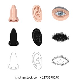 Vector illustration of human and part logo. Collection of human and woman stock vector illustration.