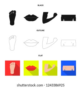 Vector illustration of human and part logo. Collection of human and woman stock symbol for web.