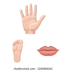 Vector illustration of human and part logo. Collection of human and woman vector icon for stock.