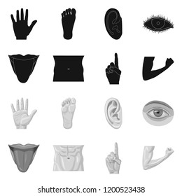 Vector illustration of human and part sign. Collection of human and woman stock vector illustration.