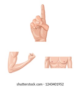 Vector illustration of human and part sign. Set of human and woman stock symbol for web.